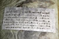Detalle 2